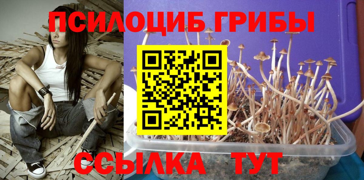 Галлюциногенные грибы Magic Shrooms  Вход с VPN  Звенигород 