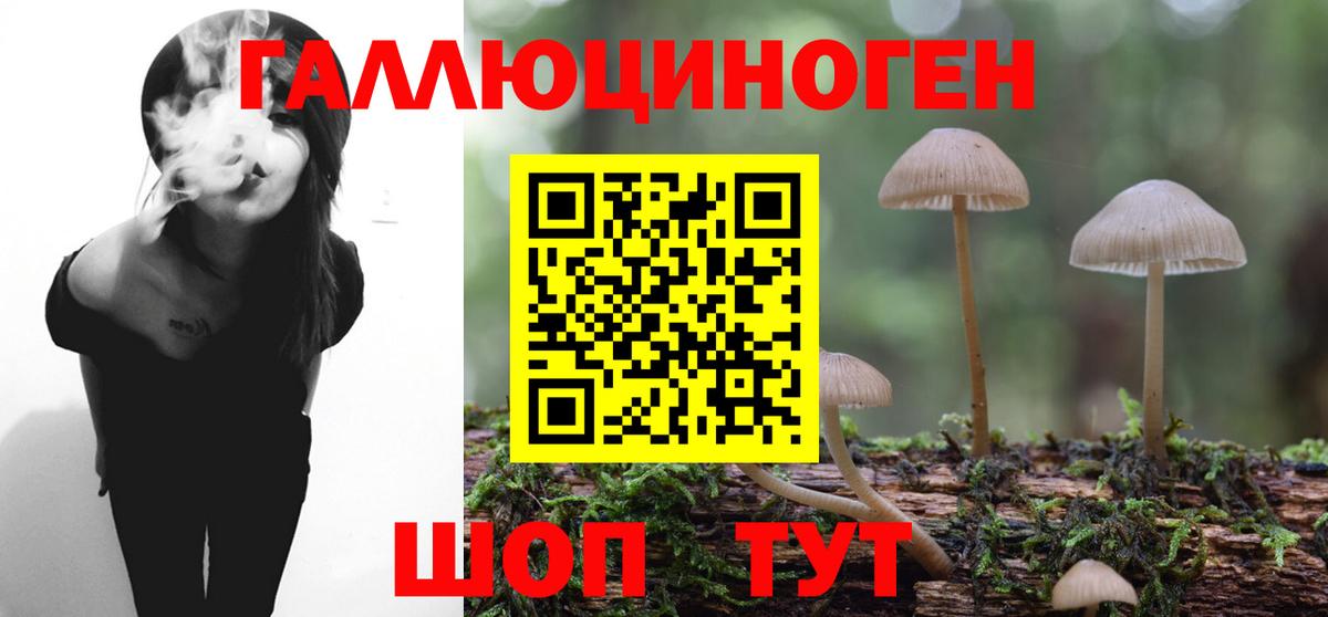 Псилоцибиновые грибы ЛСД Звенигород
